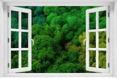 Fototapeta Naklejka Na Ścianę Okno 3D - Top view green moss for background texture