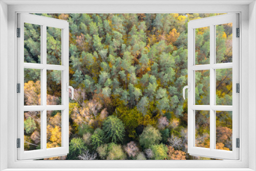 Fototapeta Naklejka Na Ścianę Okno 3D - Aerial drone view over autumn forest.