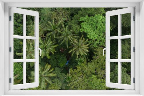 Fototapeta Naklejka Na Ścianę Okno 3D - Aerial view tropical coconut forest with tree