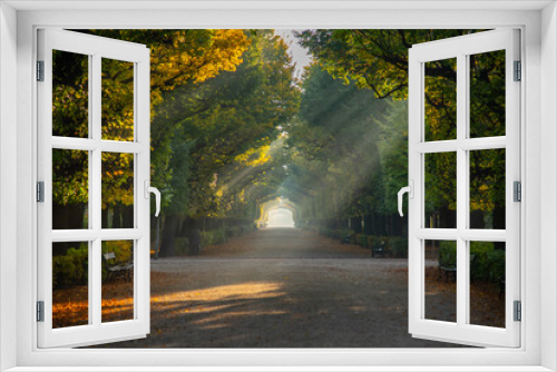 Fototapeta Naklejka Na Ścianę Okno 3D - Herbst Allee mit Sonnenstrahlen