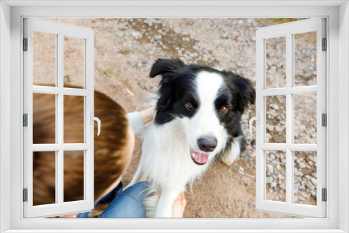 Fototapeta Naklejka Na Ścianę Okno 3D - Smiling young attractive woman playing with cute puppy dog border collie on summer outdoor background. Girl holding embracing hugging dog friend. Pet care and animals concept