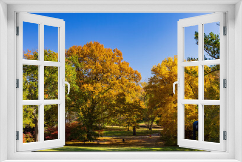Fototapeta Naklejka Na Ścianę Okno 3D - Beautiful fall color in the famous Philbrook Museum of Art