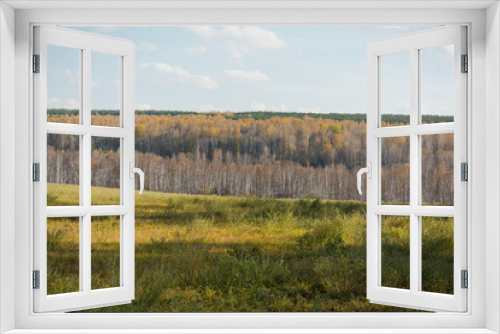 Fototapeta Naklejka Na Ścianę Okno 3D - Autumn landscape. Season. Golden autumn. Beautiful trees. Yellow leaves on the trees. The forest in the distance. Bright colours. The nature of Russia.