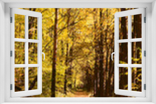 Fototapeta Naklejka Na Ścianę Okno 3D - Осень тропинка лес