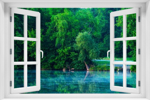 Fototapeta Naklejka Na Ścianę Okno 3D - misty tree