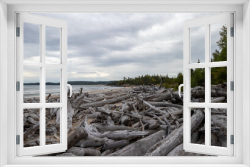 Fototapeta Naklejka Na Ścianę Okno 3D - driftwood on the beach at Lake Superior