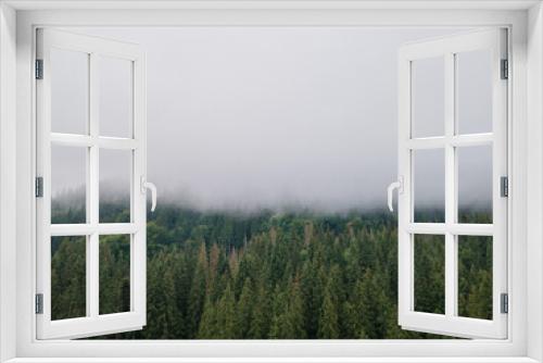 Fototapeta Naklejka Na Ścianę Okno 3D - view of mountain pine tree forest mist clouds in top