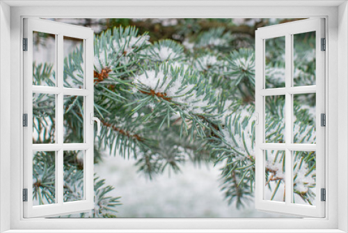 Fototapeta Naklejka Na Ścianę Okno 3D - branches of a fir tree