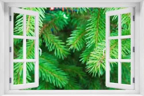 Fototapeta Naklejka Na Ścianę Okno 3D - green branches of a christmas tree, close up