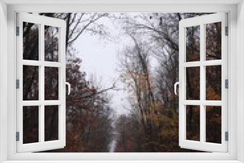 Fototapeta Naklejka Na Ścianę Okno 3D - path in the woods, road through the forest autumn, november, rain, fog