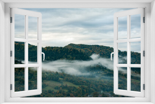 Fototapeta Naklejka Na Ścianę Okno 3D - Coniferous forest in the foggy mountain