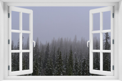 Fototapeta Naklejka Na Ścianę Okno 3D - Mystic landscape with snow-covered coniferous forest with the silhouettes of trees disappearing in thick fog in Jasper National Park, Alberta, Canada.