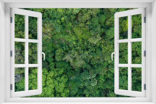 Fototapeta Naklejka Na Ścianę Okno 3D - Top down view of the forest