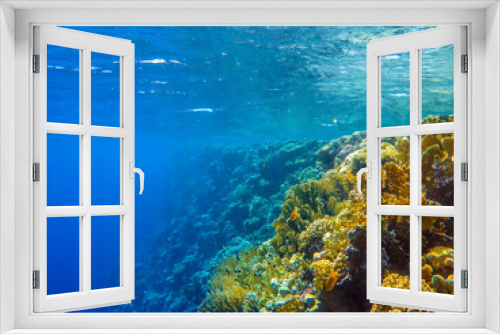 Fototapeta Naklejka Na Ścianę Okno 3D - colorful coral reef and bright fish