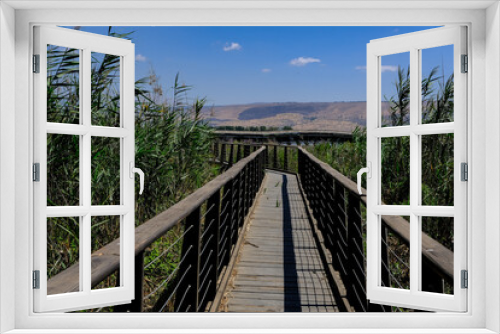 Fototapeta Naklejka Na Ścianę Okno 3D - View of the water marshes and the wetland plants as seen from the observation tower in Hula Nature Reserve, Hula Valley, Upper Galilee, Northern Israel, Israel. 