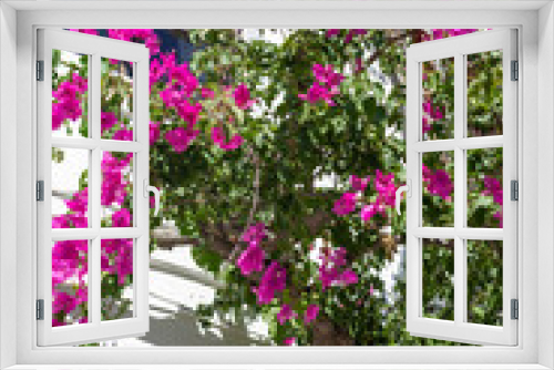 Fototapeta Naklejka Na Ścianę Okno 3D - white house with balcony and  south exotic flowers in sunny day