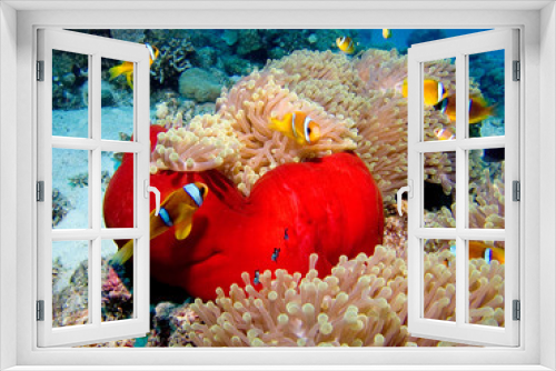 Fototapeta Naklejka Na Ścianę Okno 3D - Nemo City
