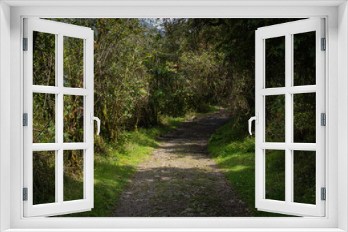 Fototapeta Naklejka Na Ścianę Okno 3D - Camino en naturaleza