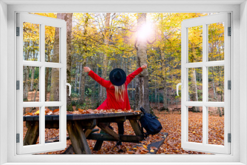 Fototapeta Naklejka Na Ścianę Okno 3D - Back view of female in red jacket and black hat open arms and raise hands in the air in fall season in Sevenlakes national park (Yedigoller milli parki), Bolu, Turkey