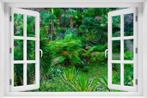 Fototapeta Naklejka Na Ścianę Okno 3D - Typowa roślinność dla ogrodów botanicznych w mieście Sintra w Portugalii. 