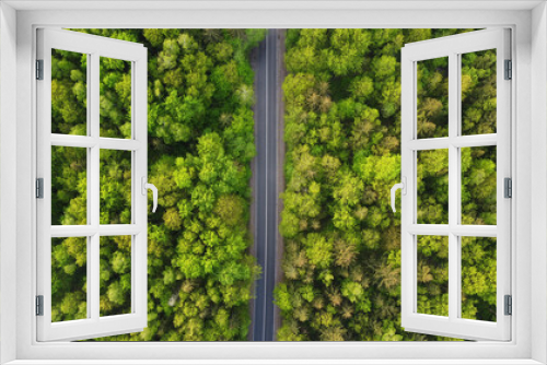 Fototapeta Naklejka Na Ścianę Okno 3D - Top view of  green forest landscape wallpaper art. Aerial nature scene of trees and asphalt road banner design. Countryside path trough coniferous wood form above. Adventure travel background