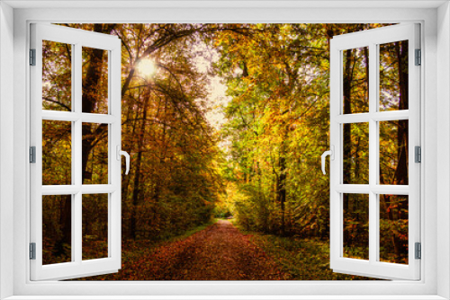 Fototapeta Naklejka Na Ścianę Okno 3D - Stimmungsvolle Waldlandschaft mit buntem Herbstlaub und einem Sonnenstrahl