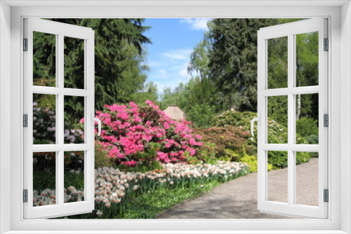 Fototapeta Naklejka Na Ścianę Okno 3D - Rhododenron und Tulpen im Vogelpark Walsrode