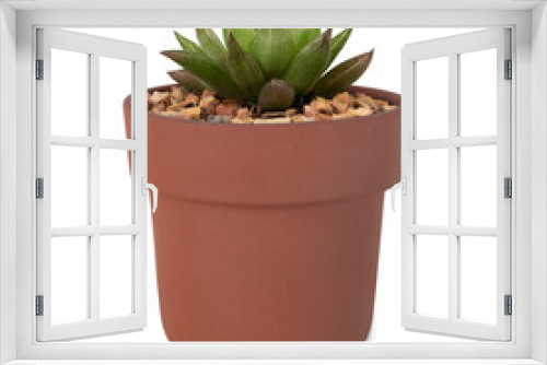 Fototapeta Naklejka Na Ścianę Okno 3D - Succulent plant in a cute pink pot