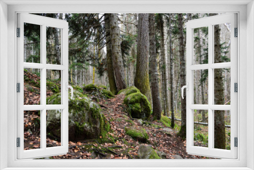 Fototapeta Naklejka Na Ścianę Okno 3D - Природа в горах 