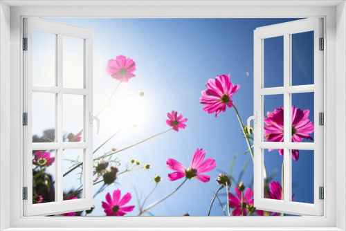 Fototapeta Naklejka Na Ścianę Okno 3D - background with flowers