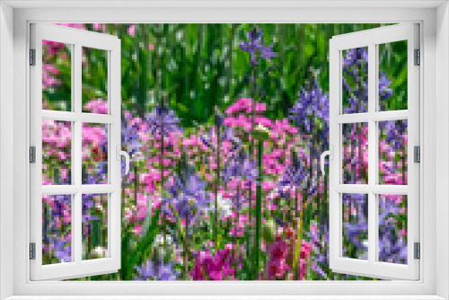 Fototapeta Naklejka Na Ścianę Okno 3D - Spring flower garden