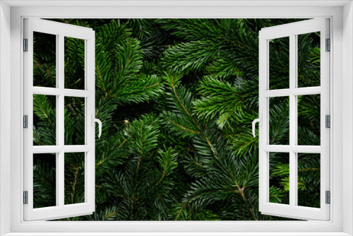 Fototapeta Naklejka Na Ścianę Okno 3D - Green pine branches for christmas decoration. Background and texture. Shot from above.
