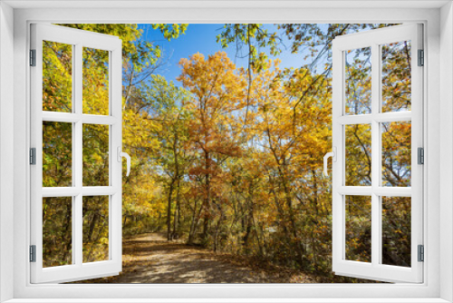 Fototapeta Naklejka Na Ścianę Okno 3D - Fall color of the nature trail in Chickasaw National Recreation Area