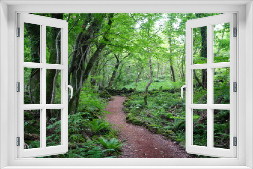 Fototapeta Naklejka Na Ścianę Okno 3D - a refreshing spring forest with a path