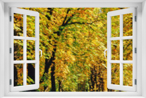 Fototapeta Naklejka Na Ścianę Okno 3D - Autumn in the Park