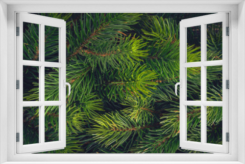 Fototapeta Naklejka Na Ścianę Okno 3D - Background made of green Christmas tree branches. Flat lay. Nature New Year concept. Spruce, fir tree texture close up