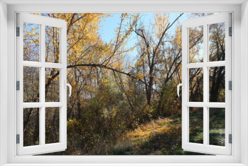 Fototapeta Naklejka Na Ścianę Okno 3D - Kamloops Parks