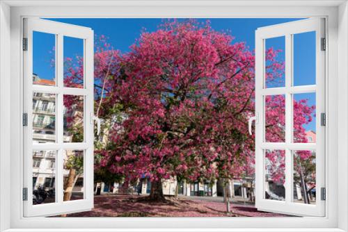 Fototapeta Naklejka Na Ścianę Okno 3D - blossom trees in bloom