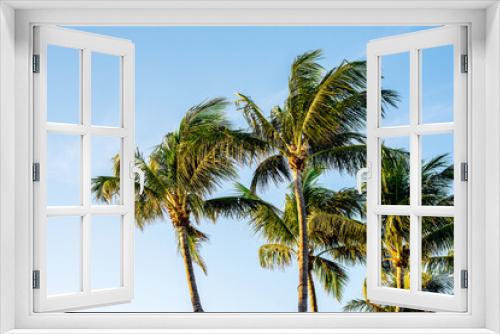 Fototapeta Naklejka Na Ścianę Okno 3D - Palm trees with solid blue sky background 