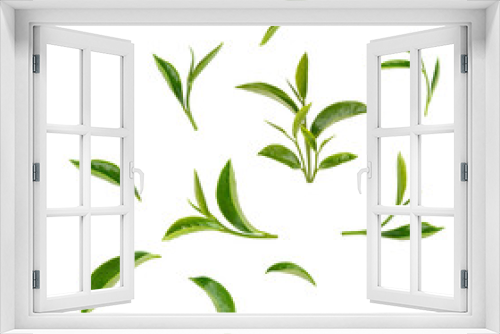 Fototapeta Naklejka Na Ścianę Okno 3D - Green tea leaves isolated on white background