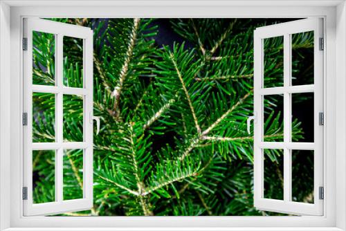 Fototapeta Naklejka Na Ścianę Okno 3D - Background of christmas tree wreath