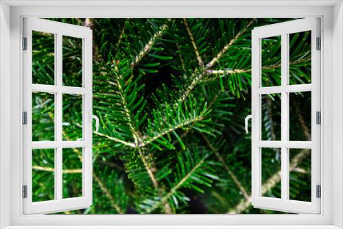 Fototapeta Naklejka Na Ścianę Okno 3D - Background of christmas tree wreath
