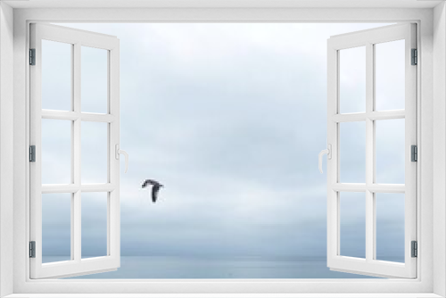 Fototapeta Naklejka Na Ścianę Okno 3D - seagull in flight on calm cloudy day