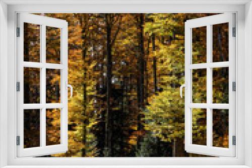 Fototapeta Naklejka Na Ścianę Okno 3D - Forêt des Vosges en automne