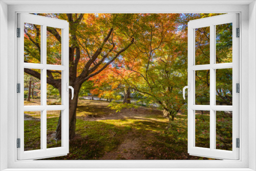 Fototapeta Naklejka Na Ścianę Okno 3D - 京都　 東福寺の紅葉