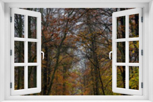 Fototapeta Naklejka Na Ścianę Okno 3D - Wald im Herbst