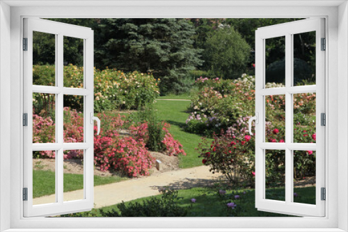 Fototapeta Naklejka Na Ścianę Okno 3D - Roseraie d'un parc floral