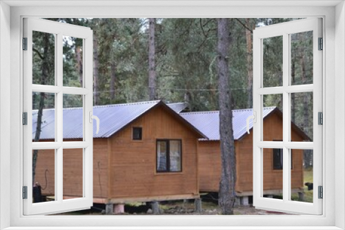 Fototapeta Naklejka Na Ścianę Okno 3D - Two houses among the pine trees.