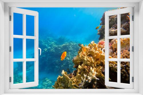 Fototapeta Naklejka Na Ścianę Okno 3D - The amazing underwater world of the Red Sea near the yellow coral swims a small yellow fish on which the rays of the sun shine