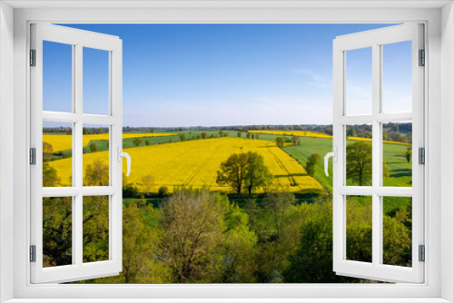 Fototapeta Naklejka Na Ścianę Okno 3D - Paysage de campagne, arbres et champs à l'horizon au printemps.